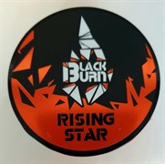Табак black burn Rising Star (Манго, маракуйя) 25 гр