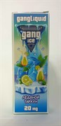 Жидкость Gang ICE SALT - Ледяной тархун 30 мл 20 мг